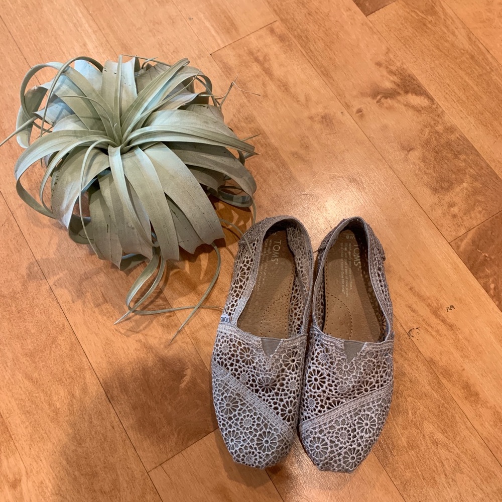 Rare Gray Eyelet  Lace Toms Slip ON
